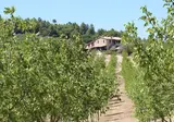 Camping Pian Di Boccio foto 18