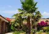 Villa Dafne foto 24