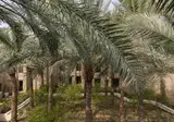 Bab Al Shams Desert Resort foto 11