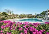 Jumbo Resort foto 9