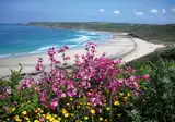 Ontdek Devon en Cornwall foto 11