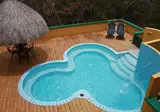 Flamingo Park foto 2