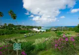 Mount Irvine Bay Resort foto 14