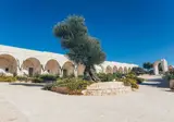 Masseria Grieco foto 23