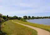 Maaspark de Lithse Ham foto 3