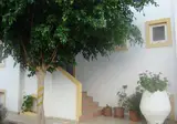 Diamond Apartments & Suites foto 2