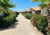 Villa Alwin Beach Resort foto 4