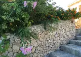 Agroturisme Es Picot foto 11