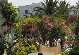 Palatia Village foto 19
