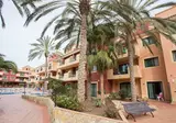 O7 Aloe Corralejo foto 23
