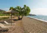 Delfinia Hotel & Bungalows foto 15