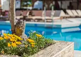 Hotel Gaia Garden foto 3