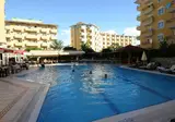 Kleopatra Royal Palm foto 11