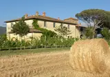 Le Terre dei Cavalieri Agriturismo foto 18
