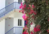 Sea Melody Beach Hotel foto 1