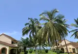 Kololi Beach foto 28