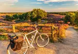 de Bosrand foto 9
