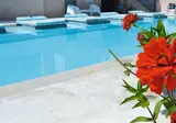 Villa Olga Lux Apartments & Studios foto 5
