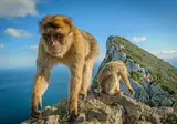 Ontdek Gibraltar, Ronda en de westelijke Costa del Sol vanuit Mijas foto 3
