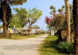 San Benedetto Camping Relais foto 17