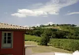 Villa Il Palagio foto 28