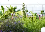 Raymar Hotels Antalya foto 7