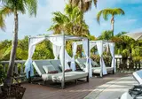 Dreams Madeira Resort, Spa & Marina foto 12