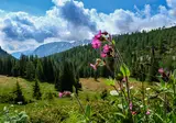 Ontdek Lofer in het Salzburgerland foto 17