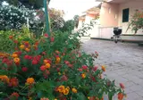Villa Teti foto 13