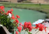 Al Lago foto 8