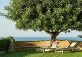 Villa Paola foto 24