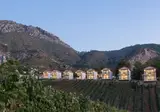 Gillham Vineyard Hotel foto 3