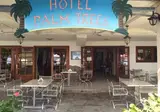 Palm Trees Hotel foto 6