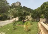 Agroturisme Es Picot foto 26