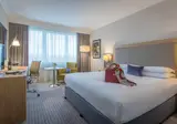 Clayton Hotel Burlington Road foto 10