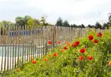 Dormio Resort Berck-sur-Mer foto 11