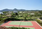 Delfinia foto 17