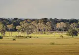 Discover the Nature of Brazil foto 3