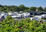 Camping Grenen Strand foto 16