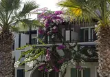 Rose Bay Hotel foto 24