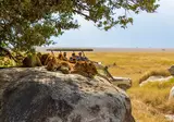Tanzania op het gemak foto 9