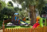 Delfinia foto 18