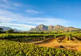 Wonderlik Suid-Afrika foto 14