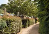 Camping Collection Rivages Le Domaine De Verdagne foto 9
