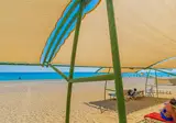 Grand Bahama Beach foto 25