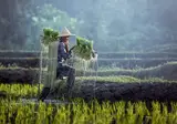 Nostalgisch Indonesië foto 1