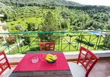 Aristidis Garden foto 10
