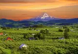 Oregon op het gemak foto 2