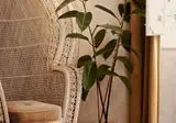 Shila Athens foto 7