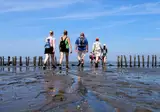 Hotel Waddengenot foto 32